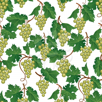 Grape branch seamless pattern. Wine yard natural fruits. Food background.
