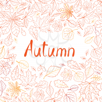 Fall leaf nature seamless pattern. Autumn leaves background. Season floral icon wallpaper