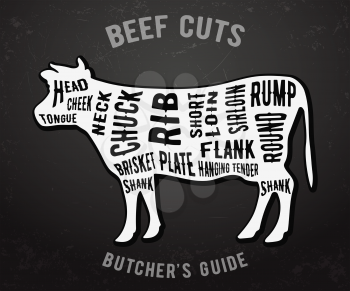 Beef cuts. Butcher guide on blackboard. Vector illustration