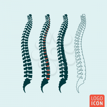 Spine icon. Human spine diagnostic symbol. Vector illustration