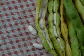 Beans. Phaseolus. Bean Seeds. Legumes. Kitchen. Recipes. Before cooking. Delicious. It is useful. Close-up. Horizontal