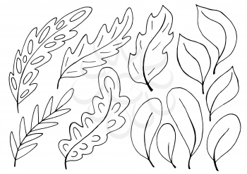 Collection of decorative green leaves. Monochrome elements for your design. Leaves of trees, flowers. Set of illustrations in hand draw style