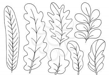 Collection of decorative leaves. Monochrome elements for your design. Set of illustrations in hand draw style