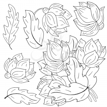 Peonies. Set of bouquets and flowers as separate elements. Monochrome peonies in hand drawing style. Vector flowers for cards, flyers, invitations