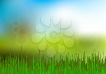 Green Grass and Blue Sky Background. Happy Summer Nature Illustration. Spring nature background with grass and blue sky in the back