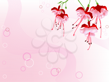 floral background with red flowers