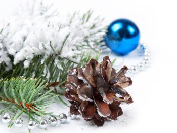 Christmas background with pine cone  and fir branch 