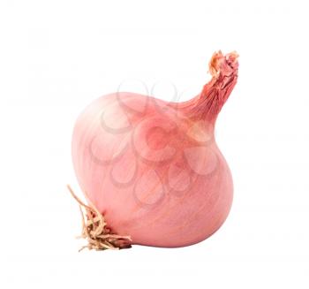 red onion isolated on a white background