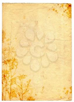 grunge old paper background with blots and flowers