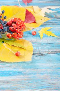 Autumn still life with forest berries and yellow leaves on a blue wooden background.