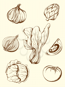 set of hand drawn vector vintage vegetables icons