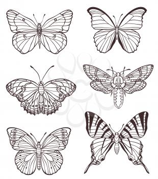 Set of vector hand drawn butterflies