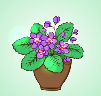 Blooming violets in a flowerpot on a green background. Hand drawn vector illustration.