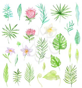 Hand drawn watercolor set of tropical flowers and green leaves isolated on a white background.