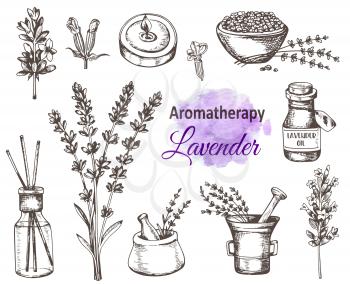 Set of hand drawn vintage lavender flowers and perfumed aromatherapy ingredients. Vector illustration