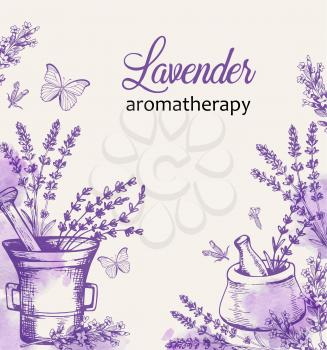 Vintage background with lavender flowers and butterflies. Spa and aromatherapy ingredients. Hand drawn vector illustration.