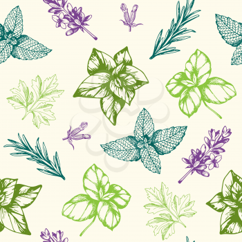 Vintage hand drawn seamless pattern with Provencal spices and herbs. Decorative floral vector background.