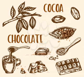 Set of vector hand drawn chocolate and cocoa beans. Vintage style illustration