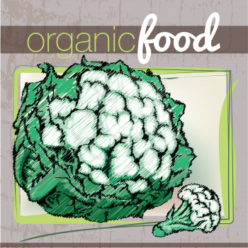 Organic Food illustration