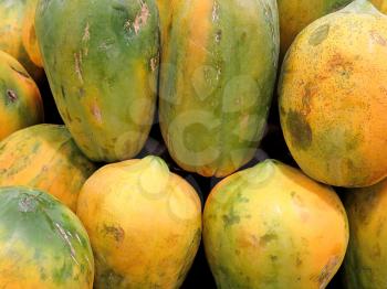 Papaya fruit, delicious tropical fruit