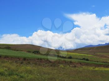 Agricultural field in Sacred Valley, Cusco Region, Peru