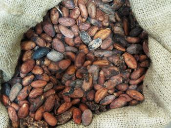 Raw roasted cocoa beans background