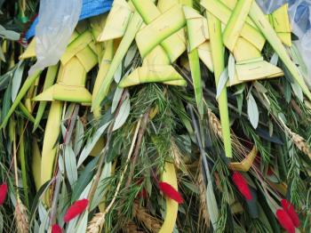 Decorated palm typical on Palm Sunday, Cusco Peru