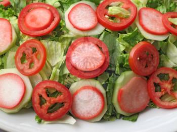 Mixed salad with lettuce, tomato and radish
