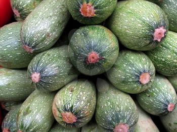 Fresh trays of zucchinis