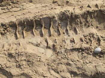 Car tracks in the sand