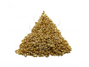 Heap of raw wheat Isolated on White Background