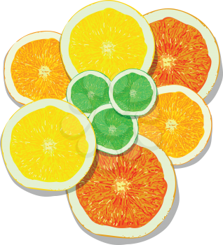 lemon, orange, lime, grapefruit slices on white background vector illustration