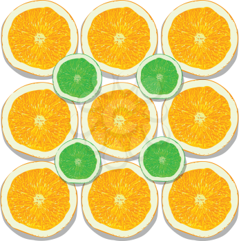 lemon and orange slices on white background vector illustration