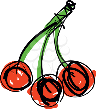 Hand drawn Red Cherry fruit vector illustration