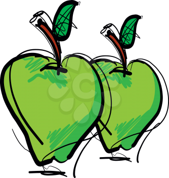 Hand drawn Pear fruit vector illustration
