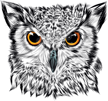 Portrait of an eagle owl. Hand Drawn Sketch vector illustration