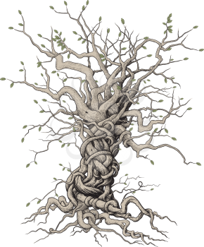 tree with beautifully randomly interlaced twigs and roots in Japanese style on a white background