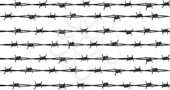 Several rows of sharp rusty barbed wire isolated on white background