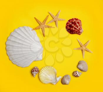 several sea shells and starfish laid out in a round frame on a bright yellow background