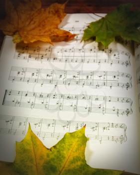 old yellowed piece of musical score close-up with maple leaves falling on it