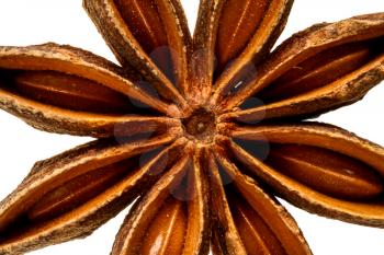 dry spice star anise close-up on white background