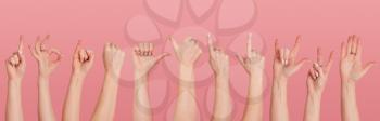 Several different gestures of female hands in various poses close-up on a pink background 