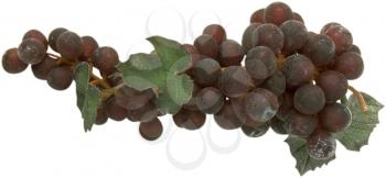 Grapes Photo Object