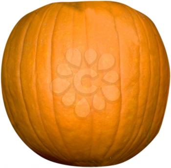 Pumpkin Photo Object