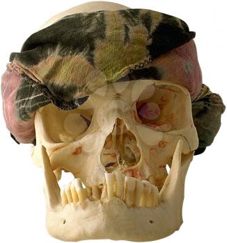 Skull Photo Object