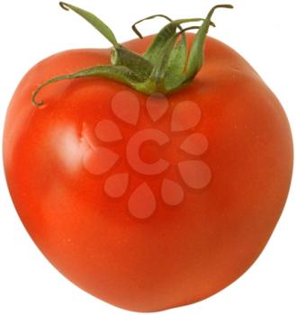 Tomato Photo Object