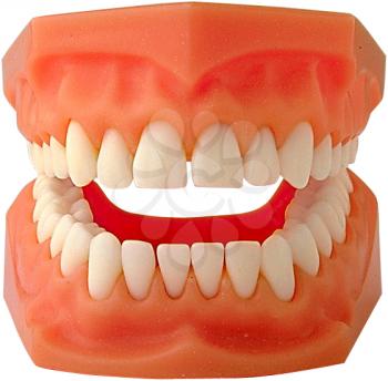 Teeth Photo Object