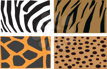 Detail illustration of animals fur pattern.