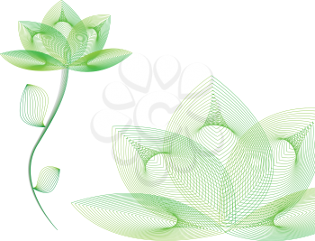Illustration of green abstract flower on the white background.