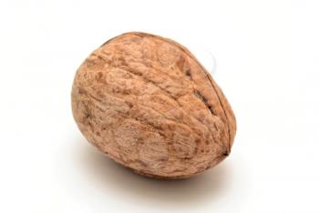 One whole walnut on white background.